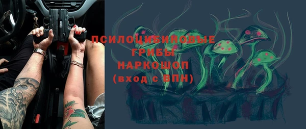 стафф Сосновый Бор
