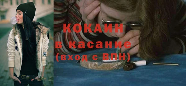 шишки Алексин