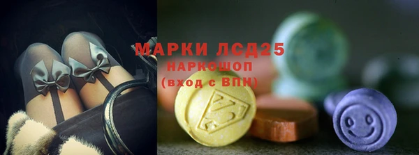 стафф Сосновый Бор