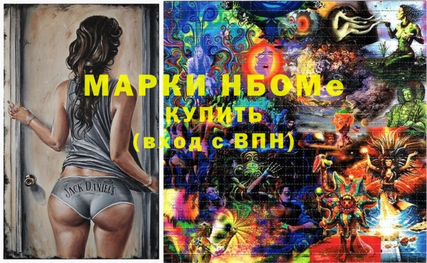 стафф Сосновый Бор