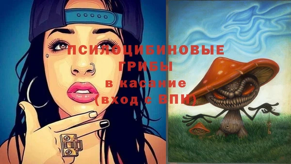 стафф Пересвет