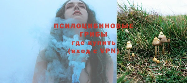 стафф Сосновый Бор
