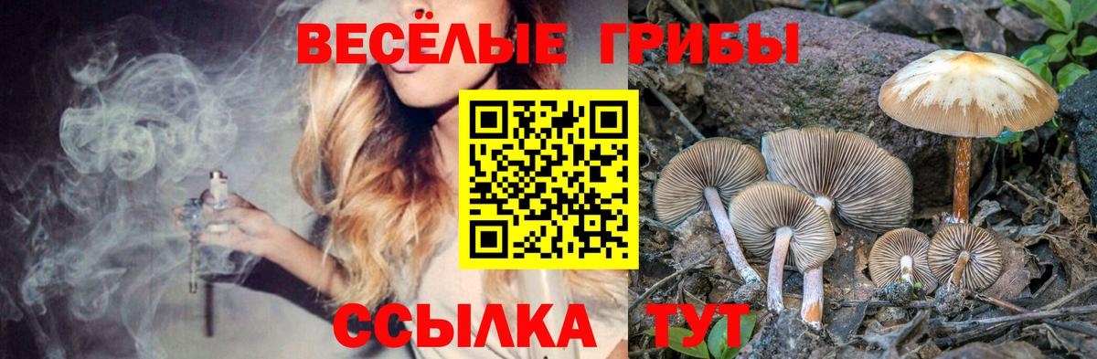 Псилоцибиновые грибы Magic Shrooms  где продают   Галлюциногенные грибы GOLDEN TEACHER  Феодосия  Вход с VPN 